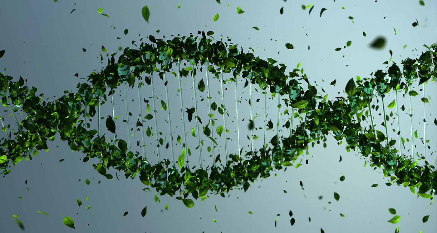 Ein DNA-Strang, der aus Pflanzenblättern zusammengesetzt ist